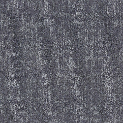 Amazon 80403